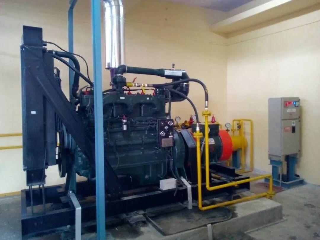 Biogas Generators